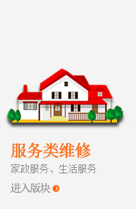 服務(wù)類維修